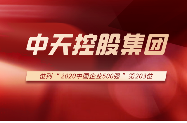 人生就是博·z6尊龙控股集团列2020中国企业500强第203位！
