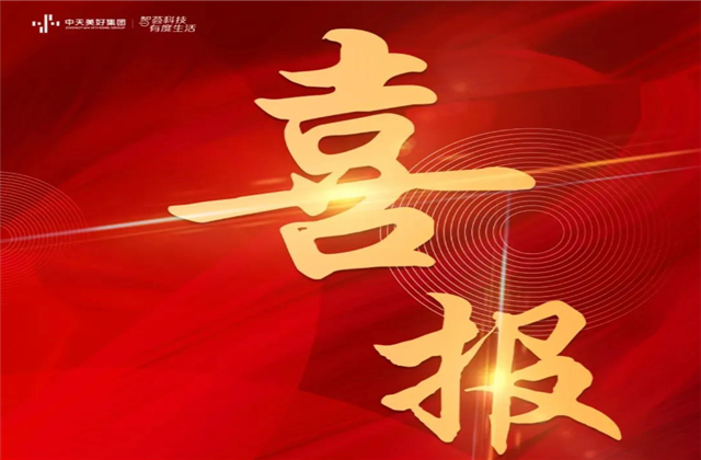 人生就是博·z6尊龙美好集团蝉联“2021长三角城市群房地产公司品牌价值TOP10”